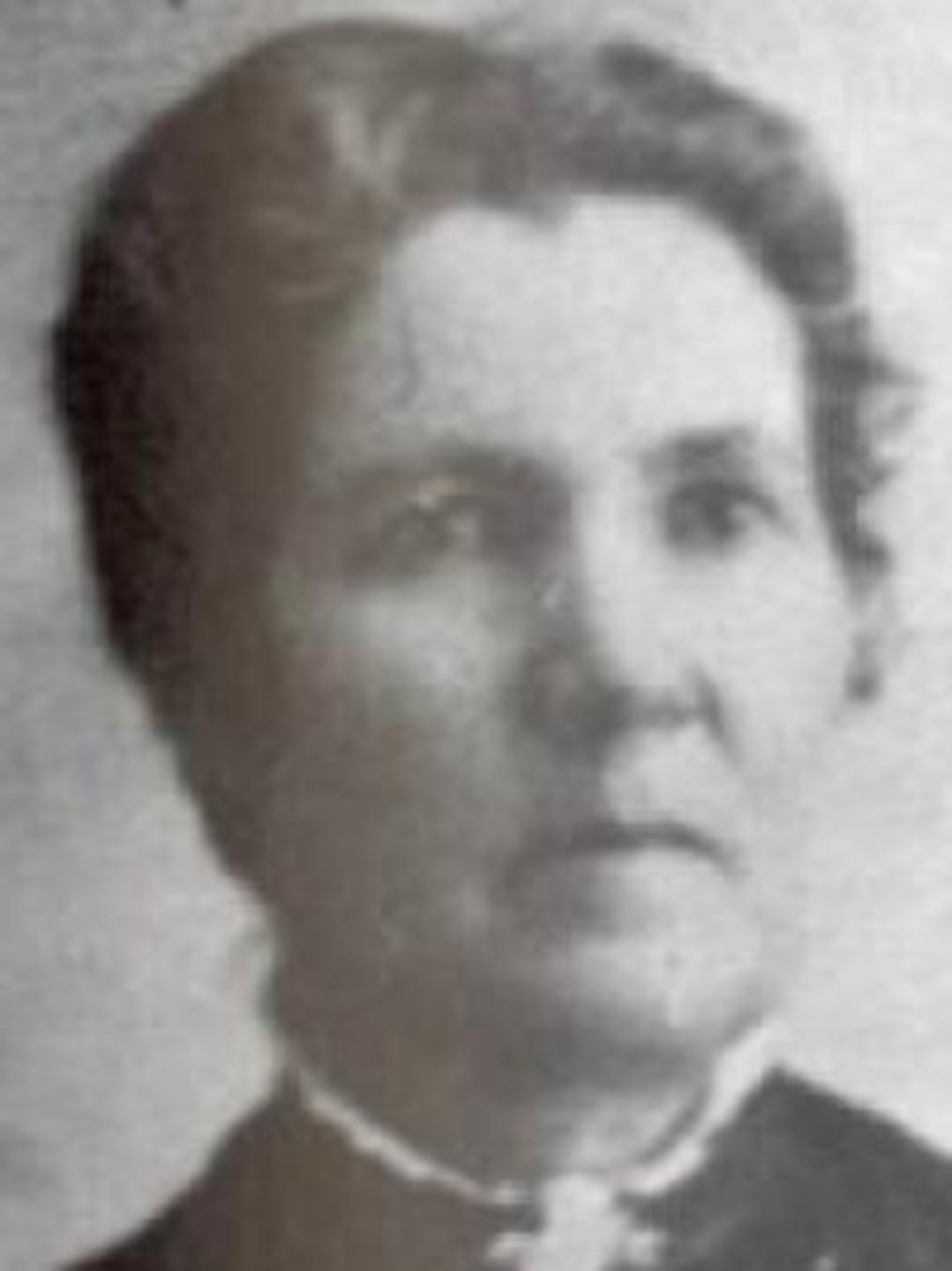 Mary Henrietta Mecham (1848 - 1899) Profile